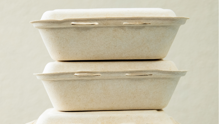 Delivering Protein-Packed Success